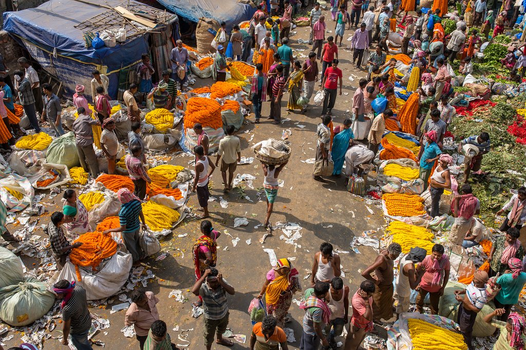 The Mullik Ghat Flower market in Kolkata