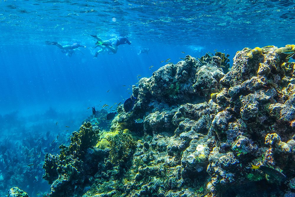 Snorkeling at Glover's Reef Atoll