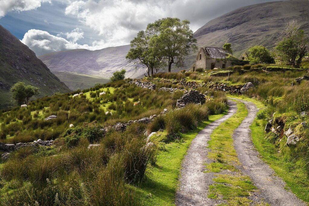 The Black Valley