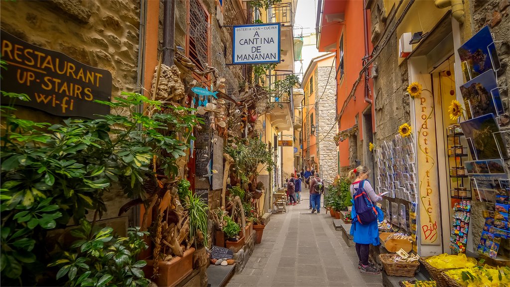 Narrow Alley in Corniglia