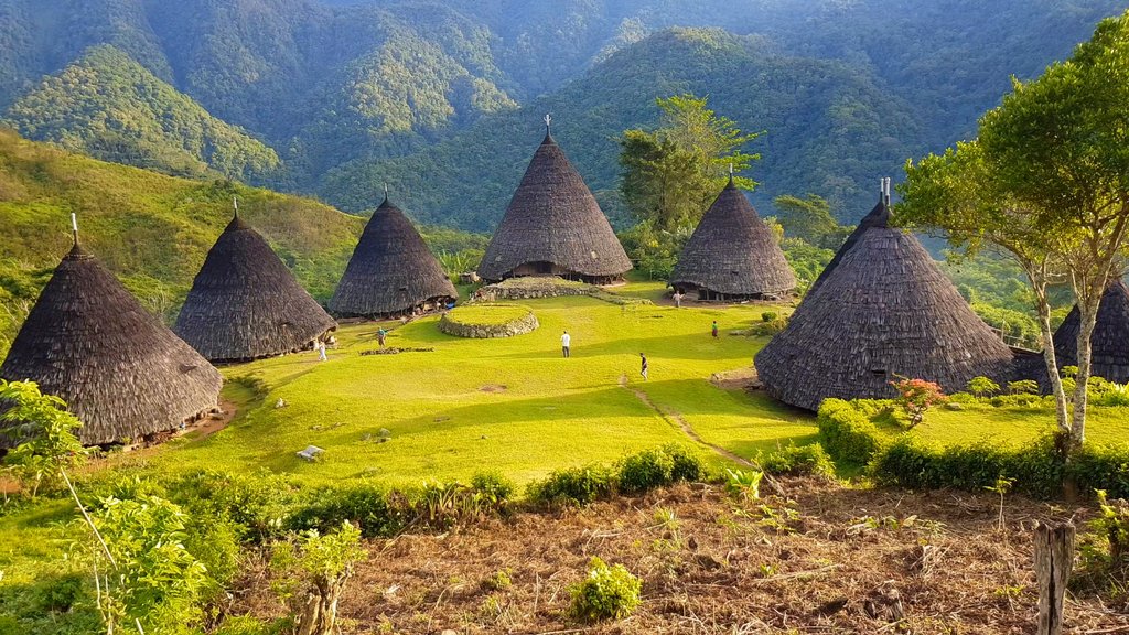Houses in Wae Rebo