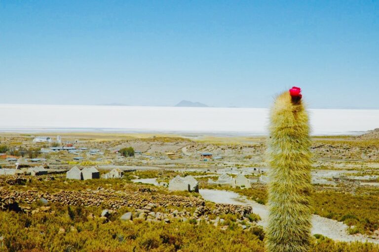 Bolivian Cities, Cloud Forests & Salt Flats - 9 Days