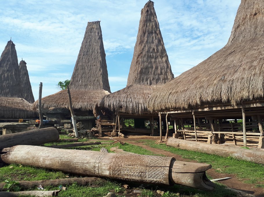 See traditional thatched-roof houses in Sumba