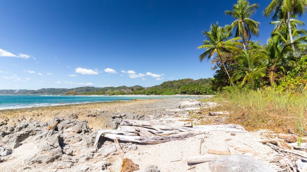 Samara Beach