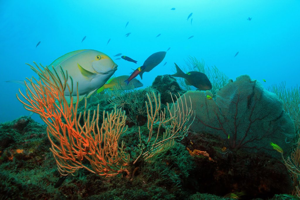 Get ready for some snorkeling