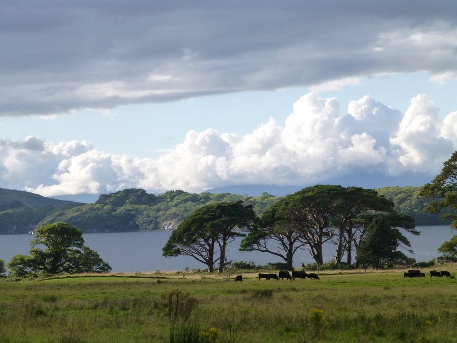 Killarney National Park