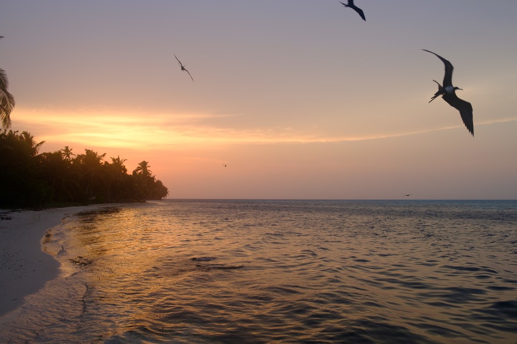 Sunset over Half moon Caye, with Frigate Bird Silhouettes
