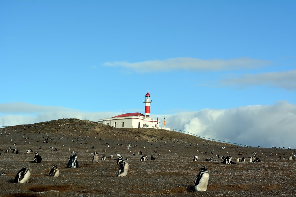 Enjoy the views from the lighthouse