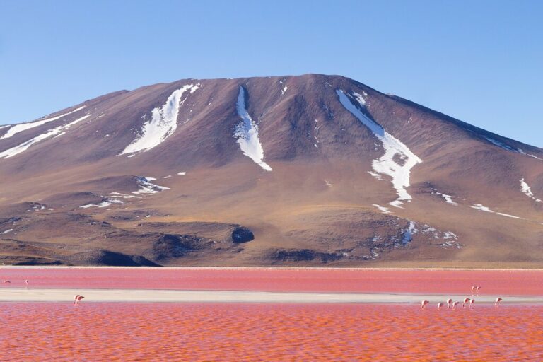 Discover the Highlights of Bolivia - 15 Days