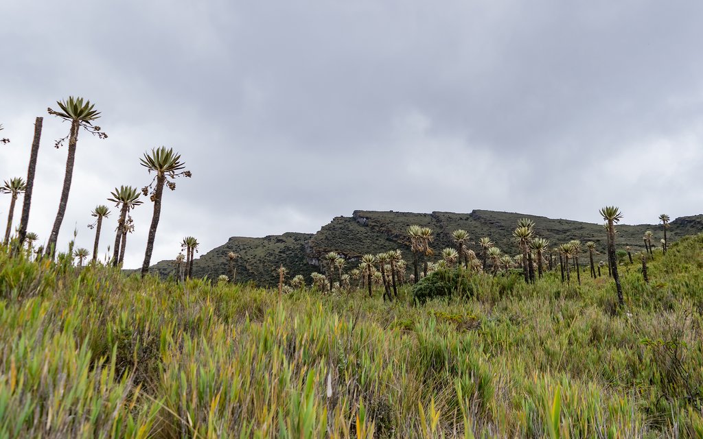 Chingaza National Park