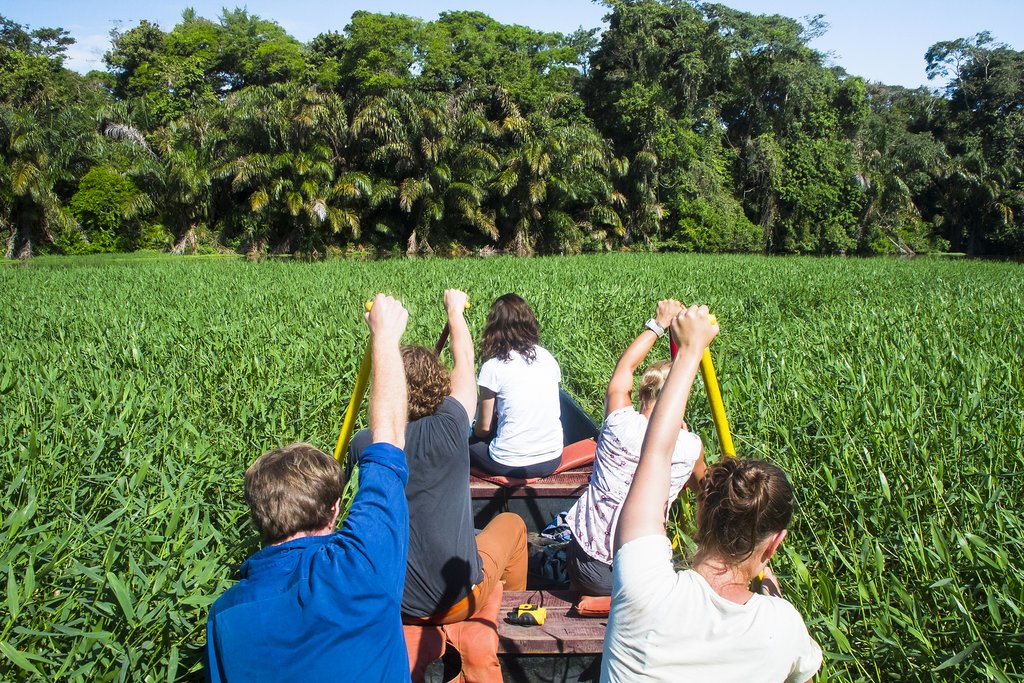 Take a canoe ride through Tortuguero