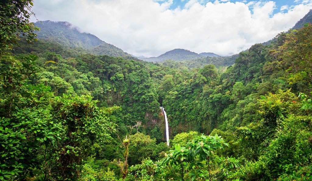 Maybe try a canopy tour over the jungle