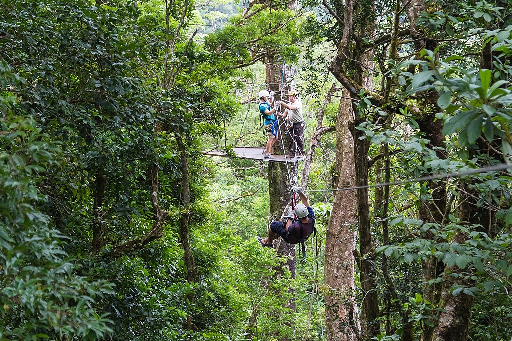 Ziplining through the rainforest canopy