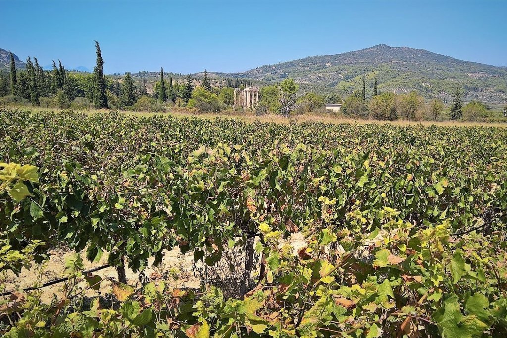 Learn About Winemaking and the Myths of Greek Gods and Heroes - Photo from MAMAKITA