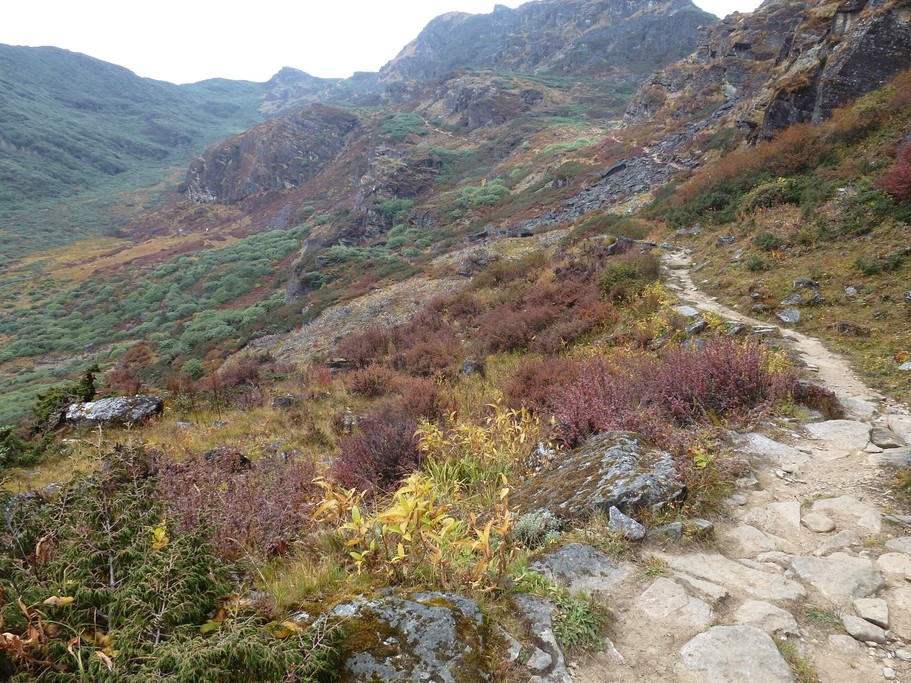 On the path to Phajoding