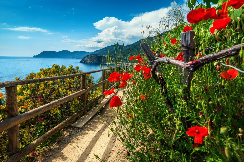 Spectacular views near Manarola