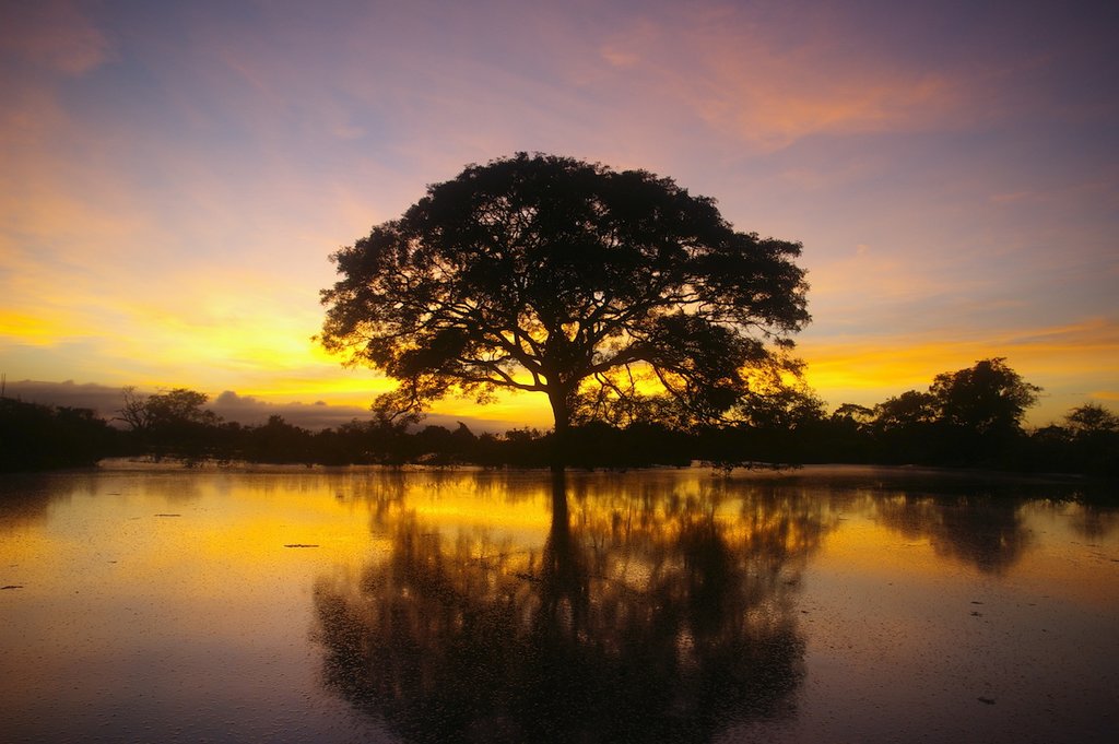 Sunset at the Yacuma River