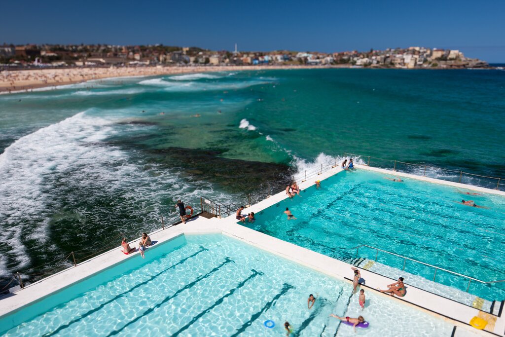 Bondi Icebergs