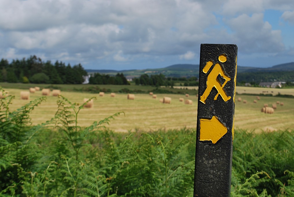 Walking path in Bunclody