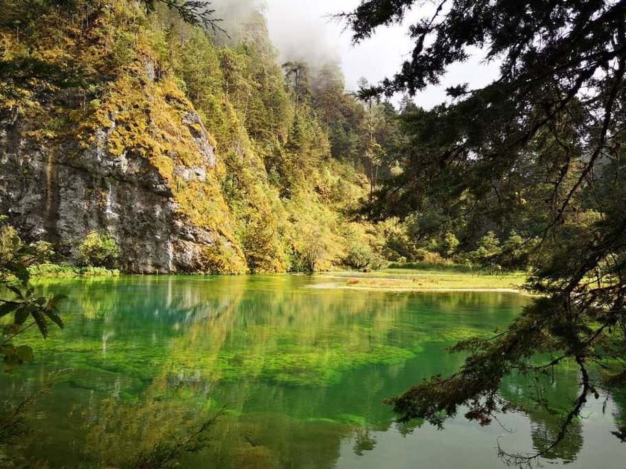 Laguna Magdalena