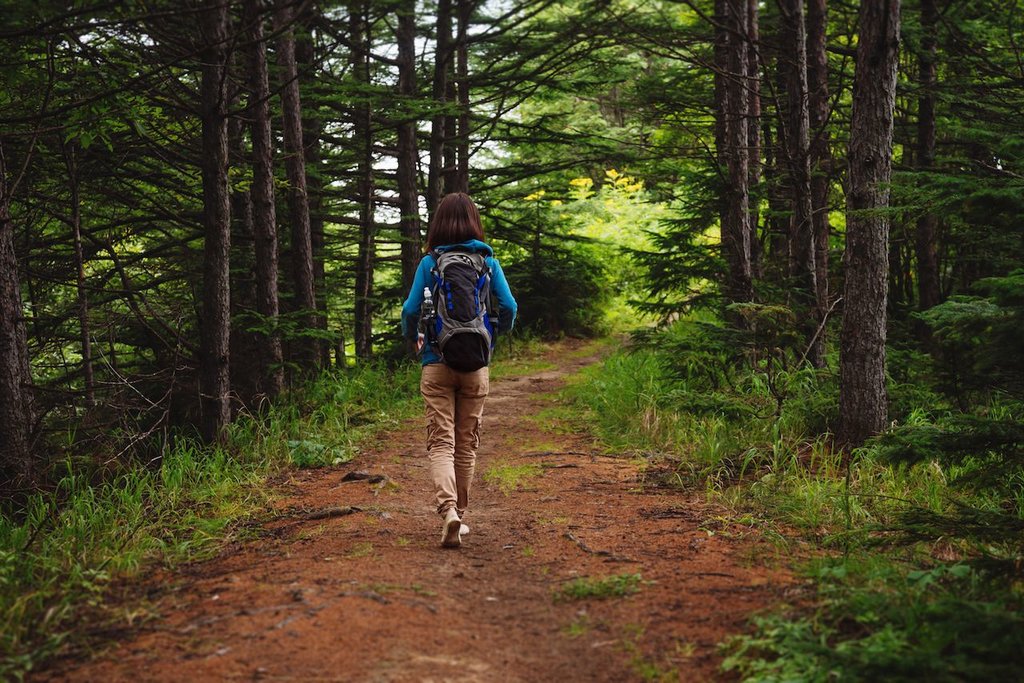 Arctic Wilderness Hike (Summer)