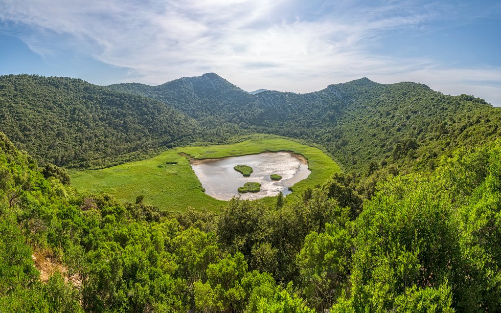 The Island of Mljet
