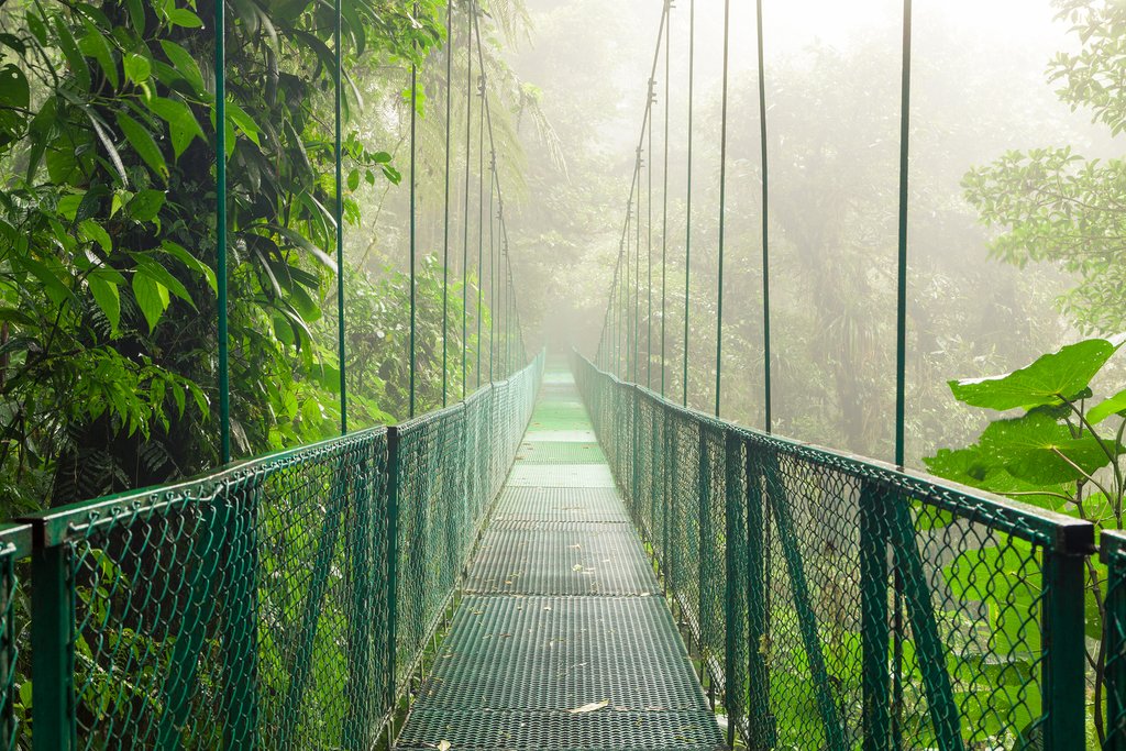 Hanging bridge in the Monteverde Cloud Forest
