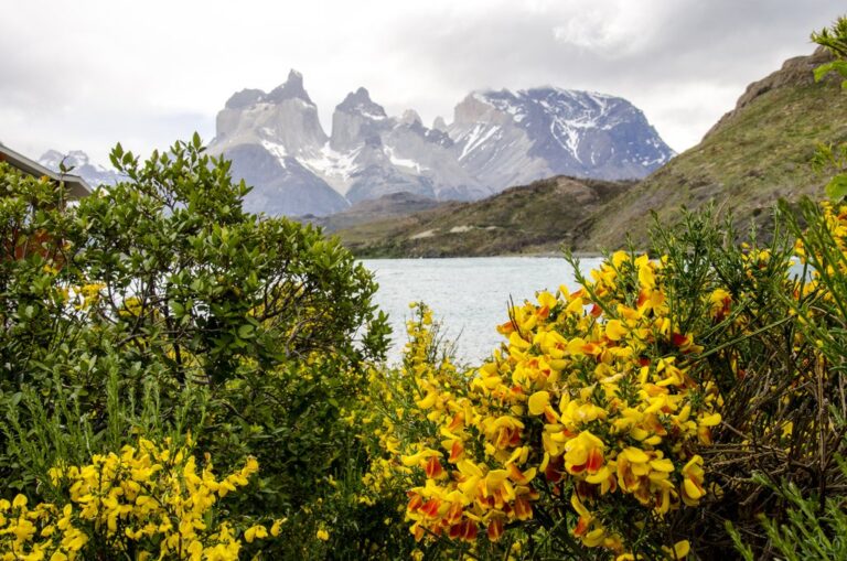 Patagonia Adventure for Couples - 15 Days
