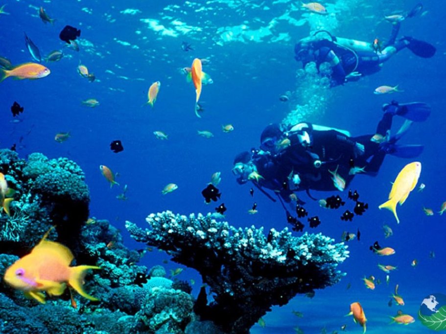Go kayaking and snorkeling off the coastline