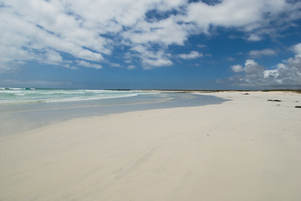 Tortuga Bay Beach
