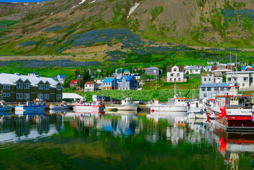 The charming town of Siglufjordur