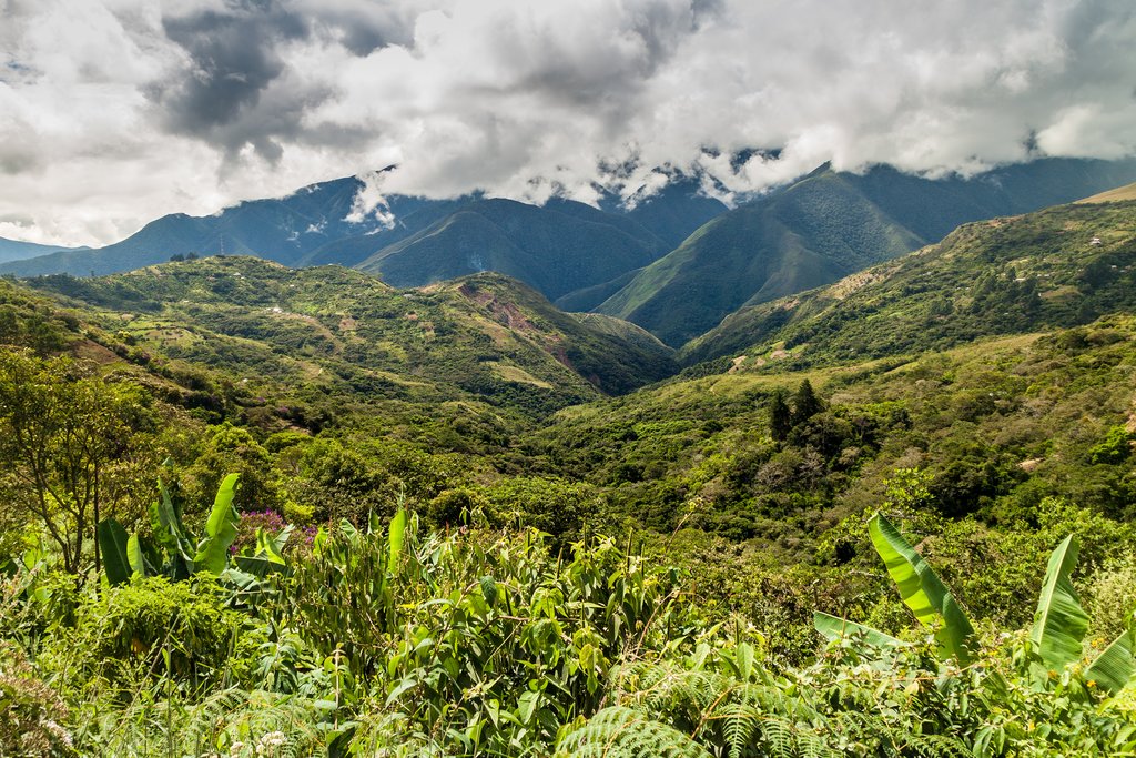 Trekking through the Andes