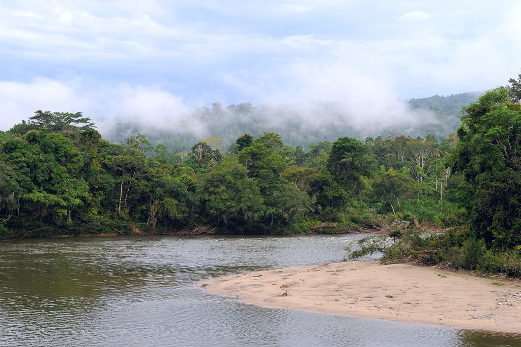 Rio Napo