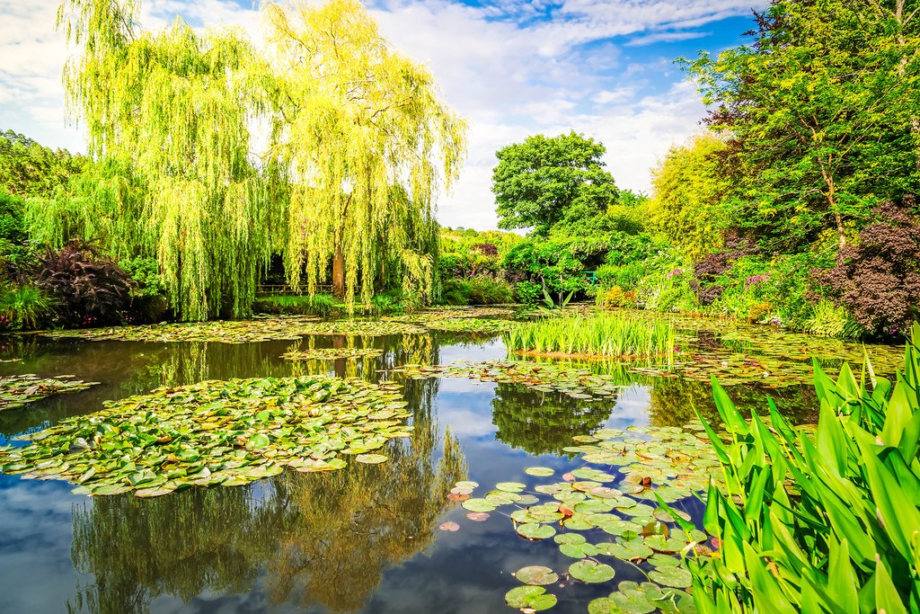 Famous lily pond in Giverny