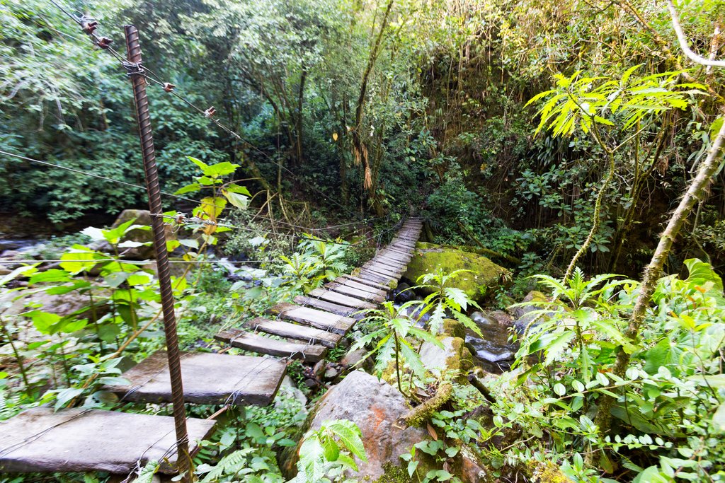 A wooden bridge in Los Nevados National Park