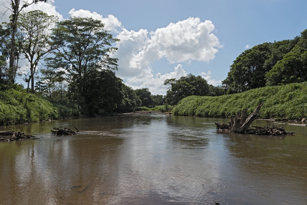 Tortuguero River Costa Rica