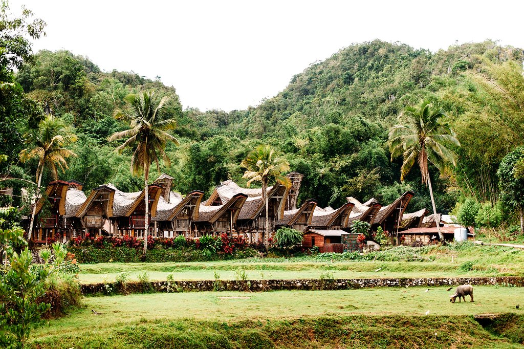 Learn more about the Torajan culture as you visit different villages