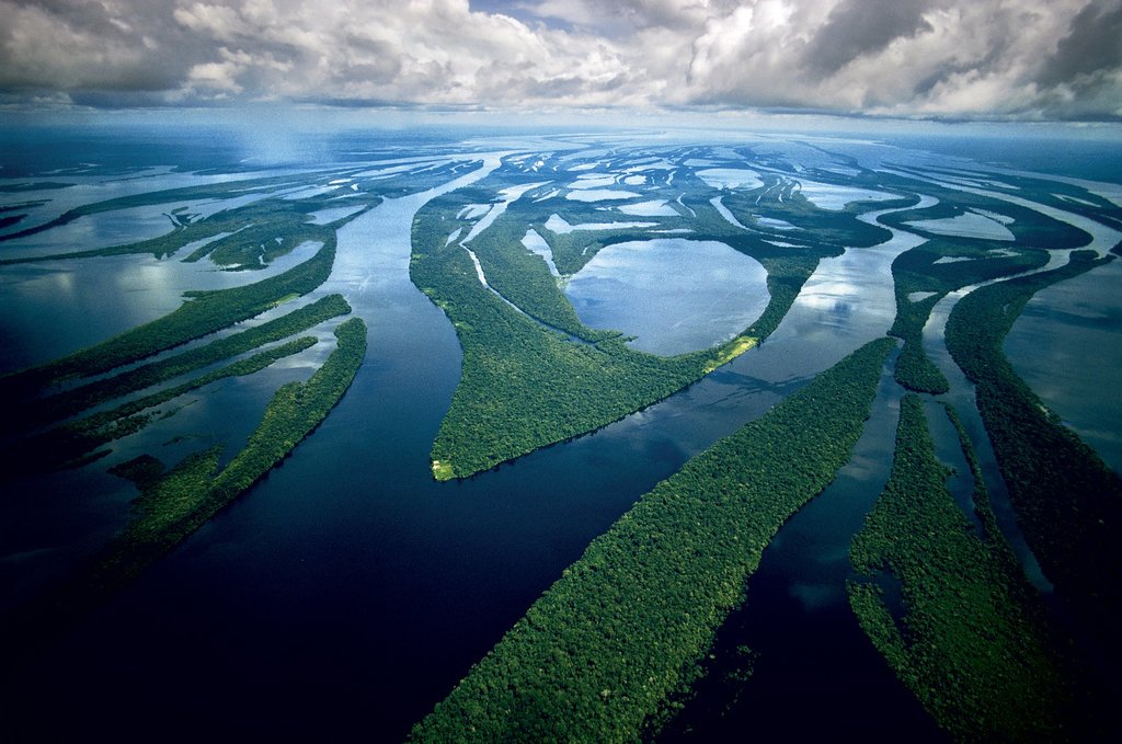 Full-day Kayak and Walk through Virgin and Uninhabited Forests