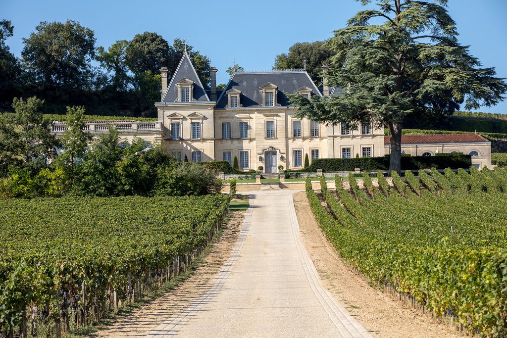Bike around the vineyards in Saint-Emilion