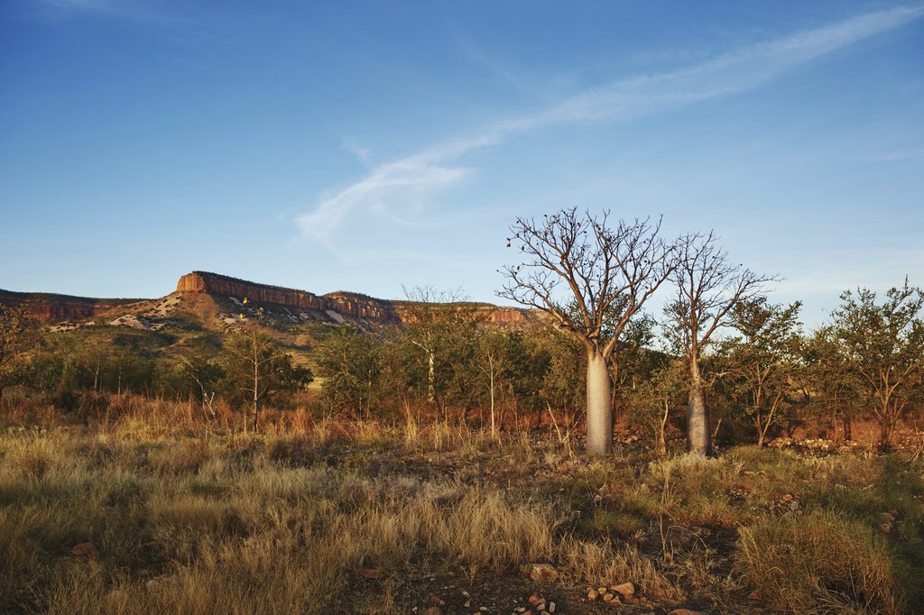 Cockburn Ranges ©Tourism Western Australia