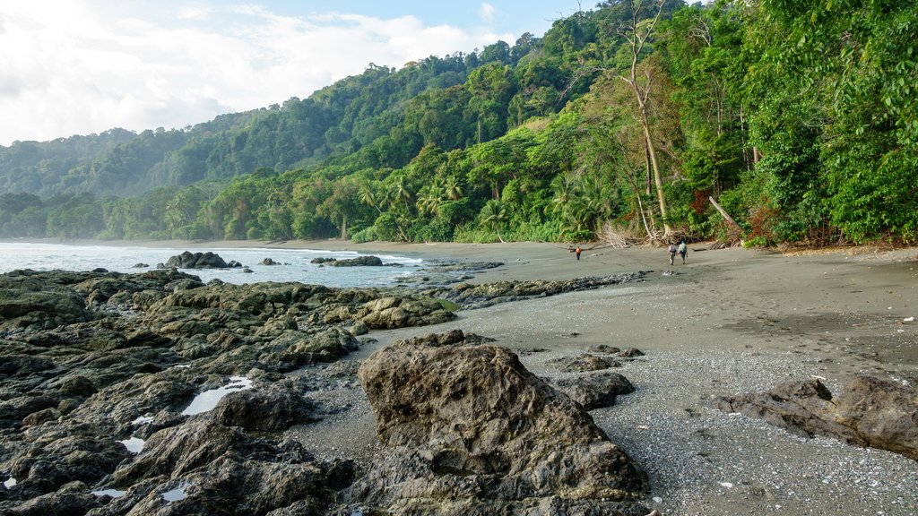Coast of Corcovado National Park