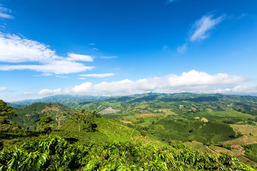 Return to Antioquia