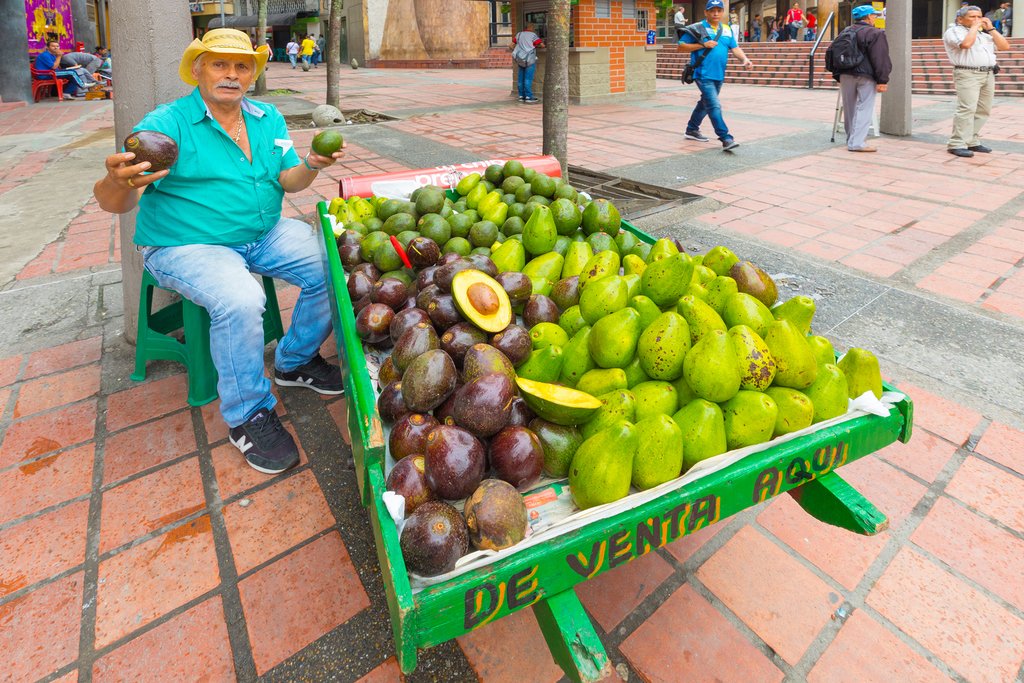 Avocado local vendor and street food tasting