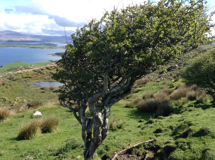 Sheep's Head Peninsula
