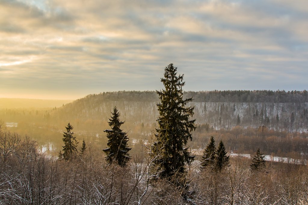 The Gauja Valley on a winter morning