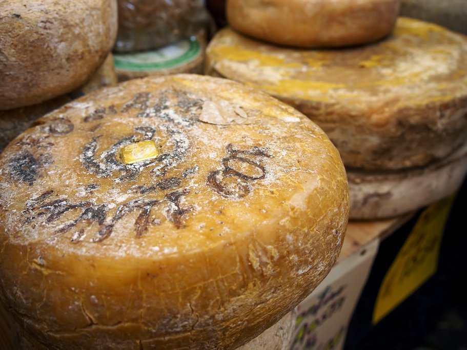 Wheels of fontina cheese