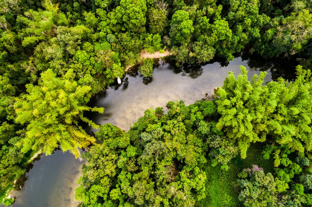 Transfer to the lush rainforest near Leticia.