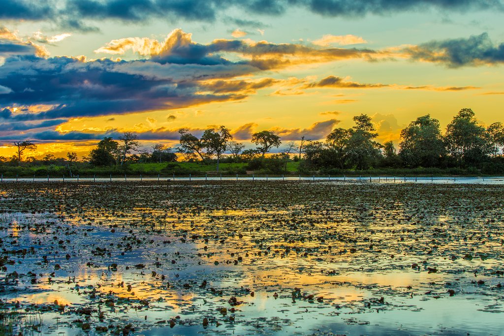 Sunset in the Pantanal