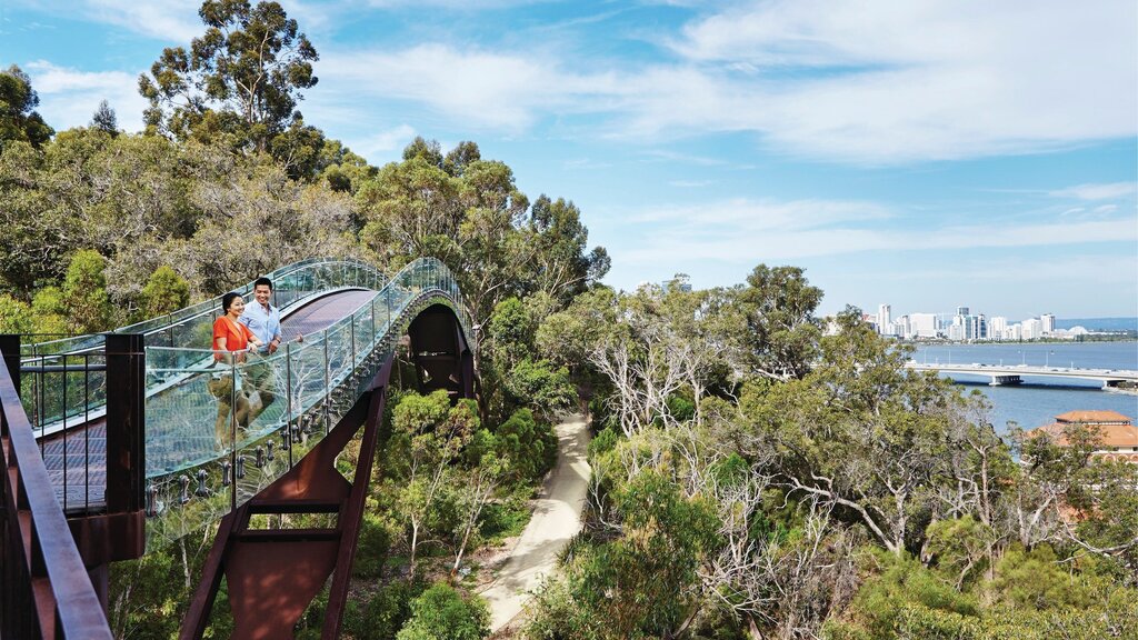 Perth  - Kings Park