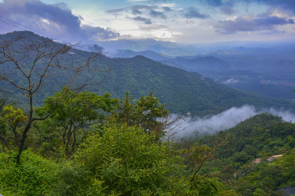 The hills of Wayanad